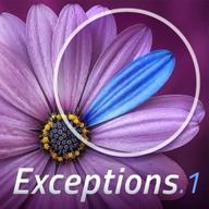 Exceptions